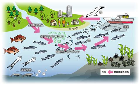 森川里海意思|環境省